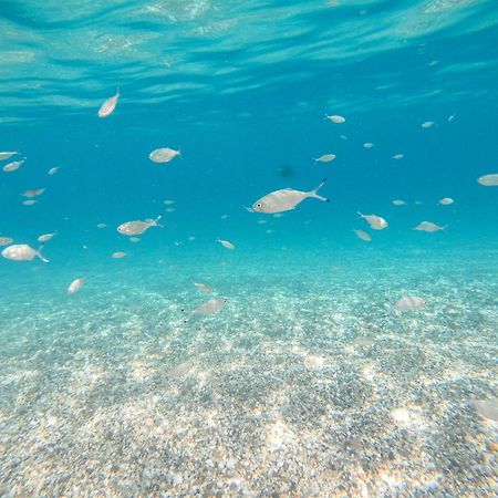 Complejo Turistico Los Bayiyos アグア・アマルガ エクステリア 写真