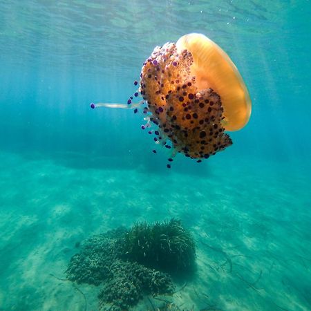 Complejo Turistico Los Bayiyos アグア・アマルガ エクステリア 写真