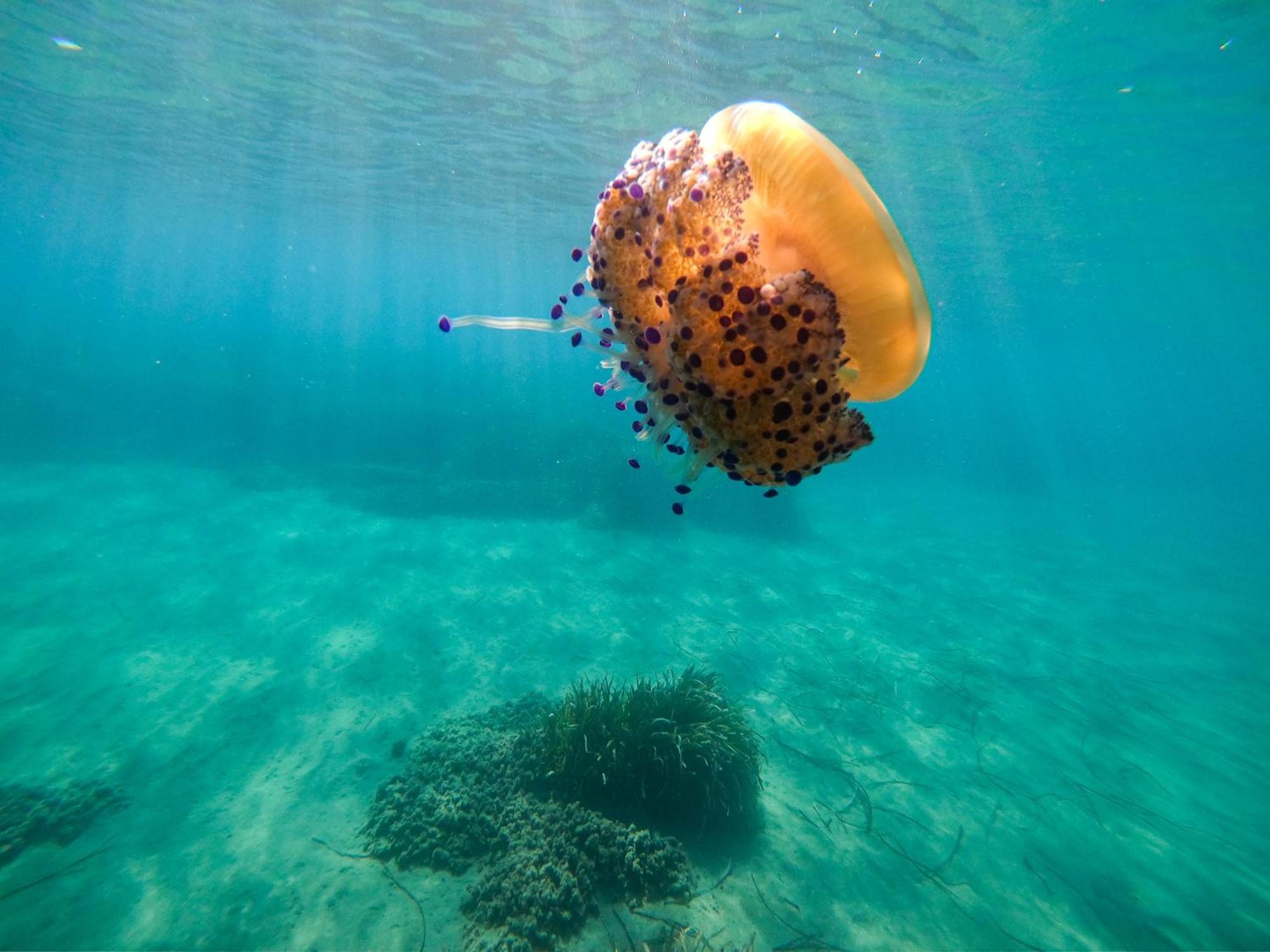 Complejo Turistico Los Bayiyos アグア・アマルガ エクステリア 写真